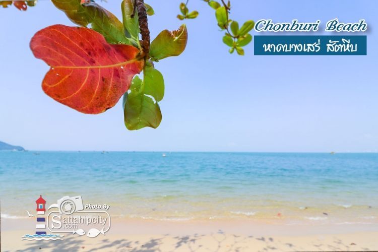 หาดบางเสร่ สัตหีบ